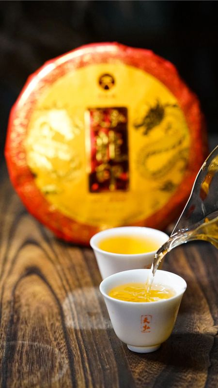 天弘茶業(yè)基地 高端古樹(shù)茶隆重上市