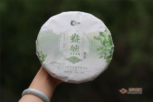一球茶業(yè) 你陪我長大,我陪你喝茶