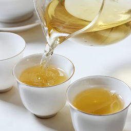 紅樓文普茶業(yè)丨綠色 創(chuàng)新 和諧 進(jìn)取的行業(yè)領(lǐng)軍