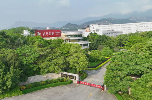 走進(jìn)八馬茶業(yè)安溪總工廠 ,赴一場(chǎng)會(huì)回甘的約