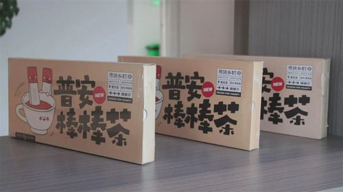 普安 新質 引領 奔赴茶業發展新賽道