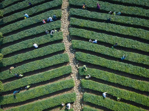 沿著高速看中國 走進高速網紅服務區