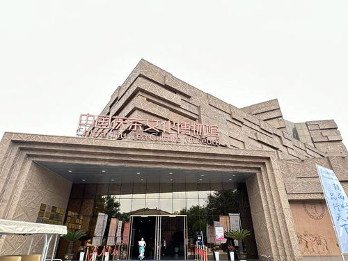 茯茶鎮(zhèn) 以茶為媒，帶活百億產(chǎn)業(yè)，鑄就中國茯茶之都